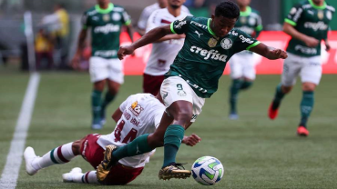 Palmeiras Campeão Pela Décima Segunda Vez